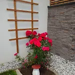 Haus Lienbacher Флахау