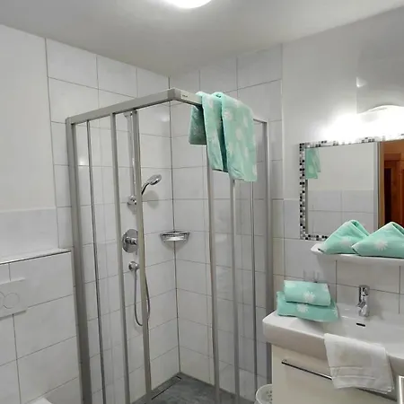 Haus Lienbacher Apartment