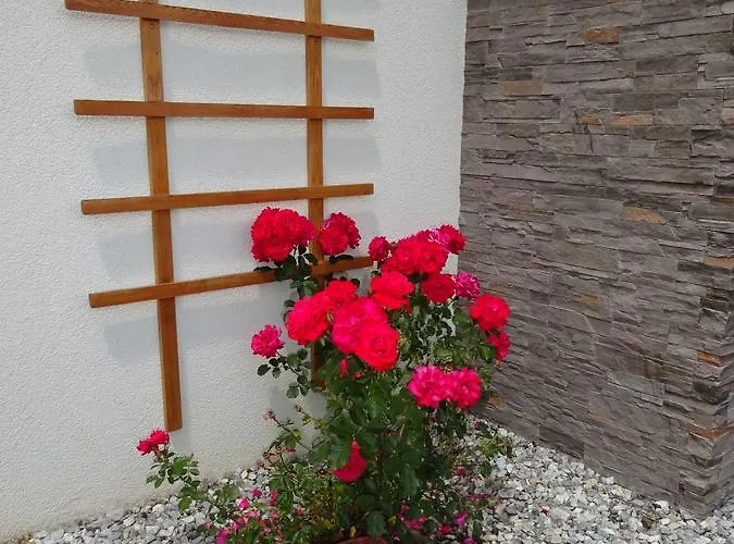 Haus Lienbacher Flachau