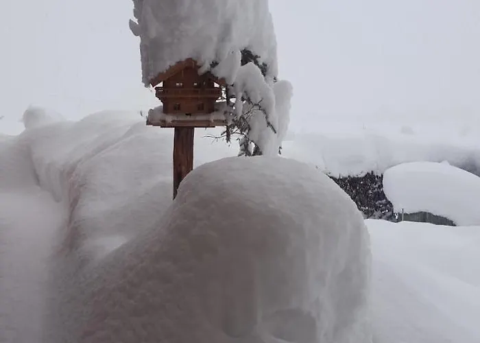 Haus Lienbacher Apartament *